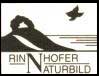 schwarz-wei�e Grafik: H�gel am Meer mit fliegendem Vogel im Vordergrund